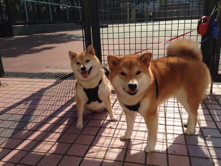 “未来之星”青少年篮球明星训练营在南昌全面铺开,挖掘青训潜力