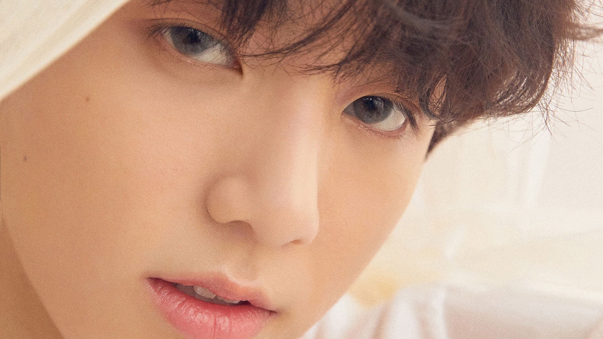 “青训专家引入国际先进理念,提升少年训练水平”,青年训练队