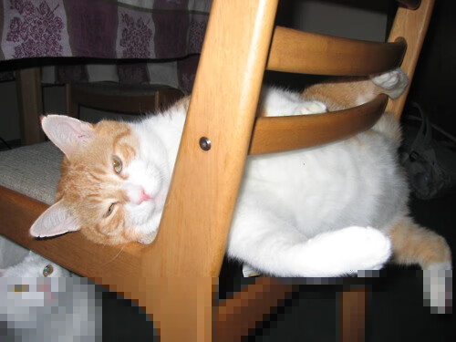 《战术演变：新版本游戏引发电竞策略大变革》，战术策略类游戏