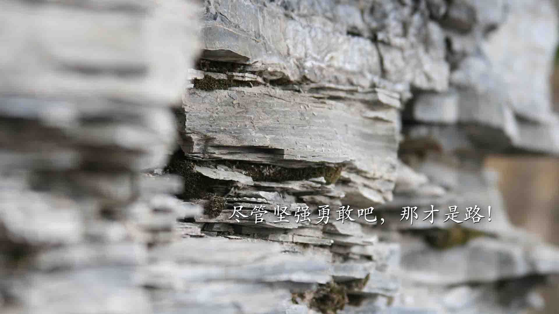 《未来电竞：技术革新与行业模式的深度融合》，未来电竞bl