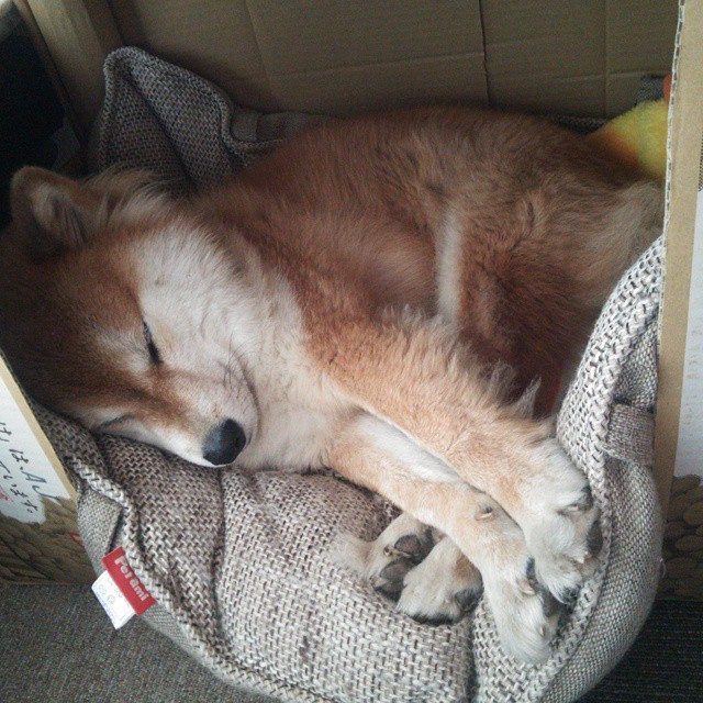 《顶级战队夺冠秘籍：战术、训练与心态三管齐下》，lol顶级战队