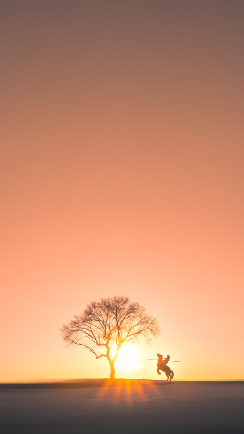 【洋基的防守大提振】新策略让失误大减少，什么是洋基队