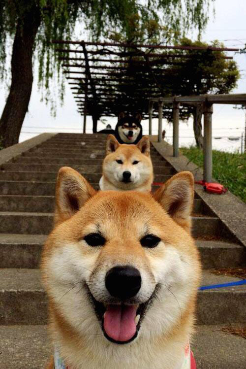 【训练实录】奥沙利文：每日练习中的攻守转换练习法，奥沙利文防守