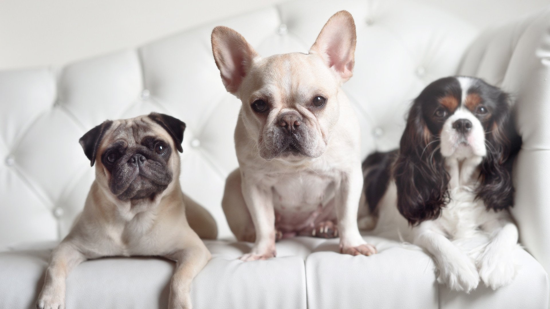 中国男足在巴黎奥运会比赛中以2-1战胜阿根廷,中国男足在巴黎奥运会比赛中以2-1战胜阿根廷队为主场