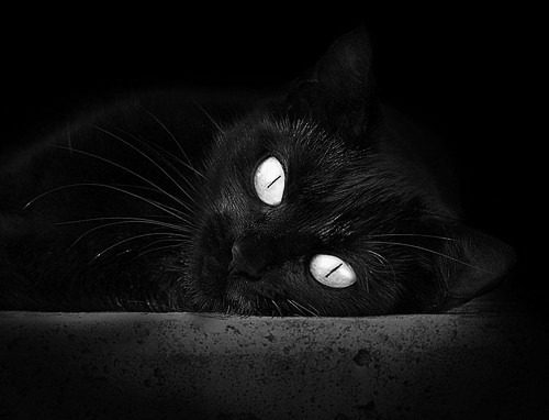 中国足球改革方案持续深化,行业生态逐步优化,中国足球改革发展方案