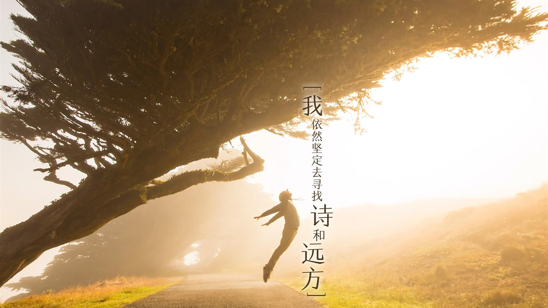 乡村传统划龙舟赛，传承古老的水上文化，划龙舟大赛