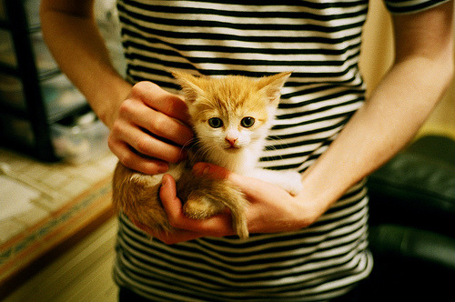 _高空极限跳伞表演:从云端俯瞰人生_,3.9万米高空极限跳伞视频