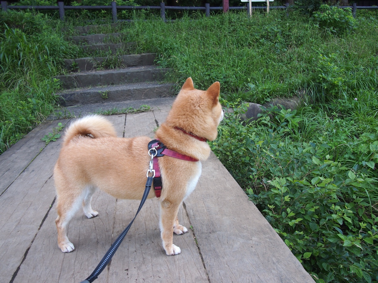_高空深潜体验:探索海底未知领域_,海底未探索区域