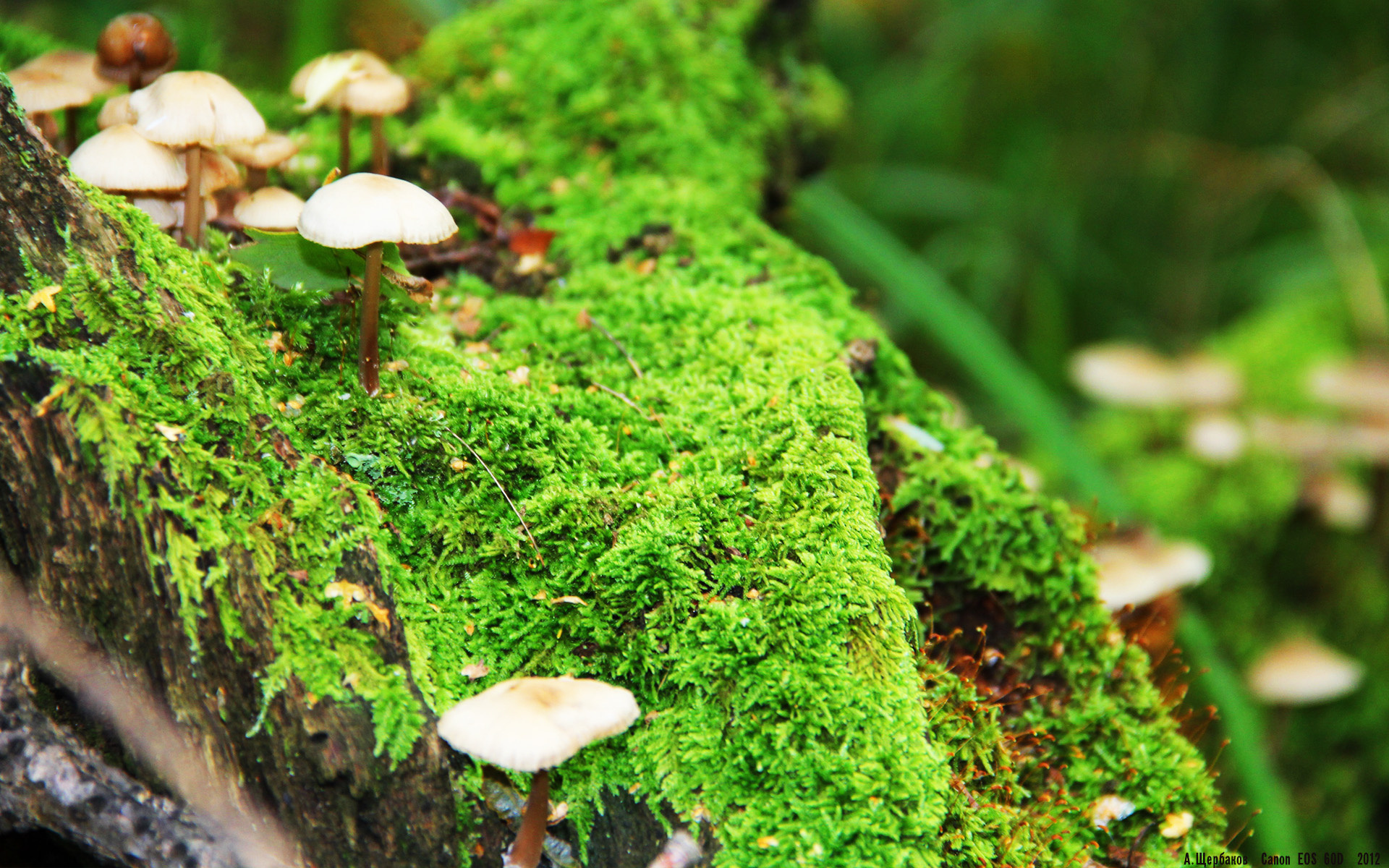 “未来之星”青少年篮球明星专项评选在广州持续刷屏，发掘潜力新秀