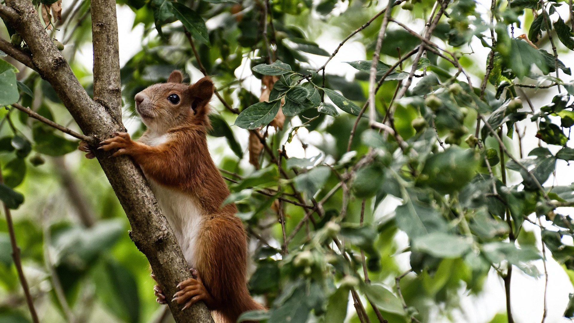 “英超精彩不断,逆转瞬间点燃现场气氛”,英超大逆转