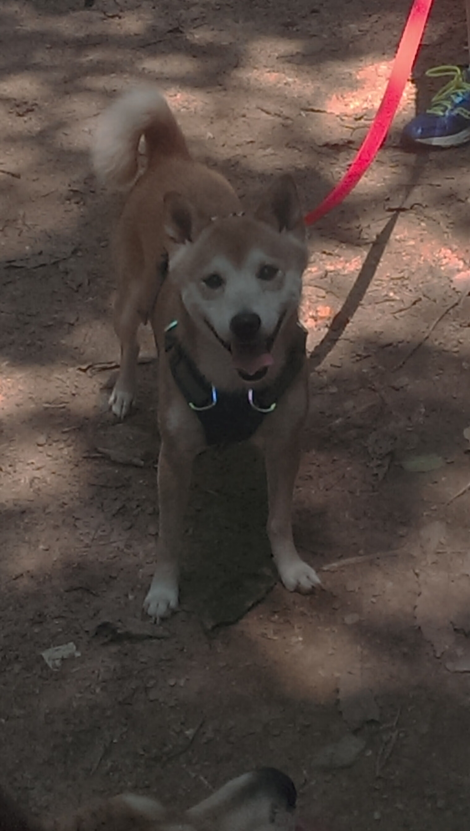 “英超绝杀时刻:最后一分钟逆袭震撼全场”,英超22秒反绝杀