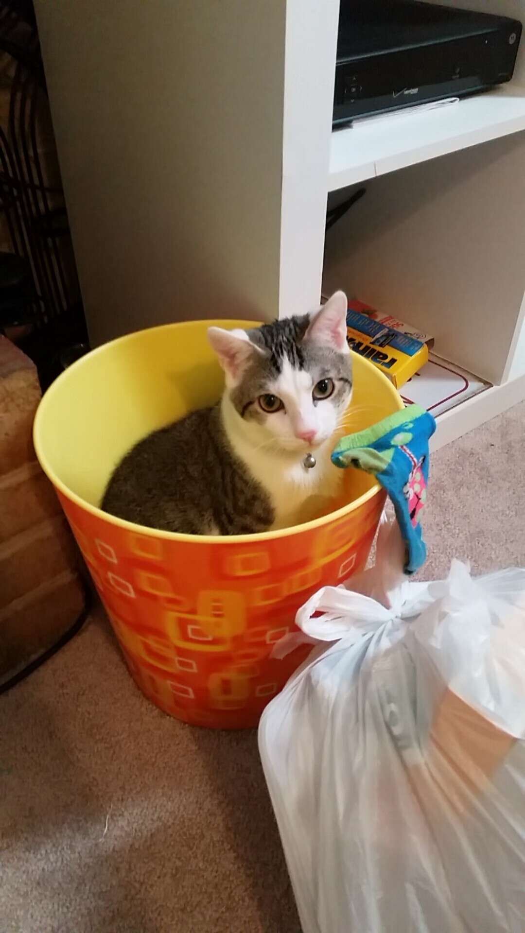 “英超联盟火力全开,争夺榜首越发激烈”,英超联盟官网