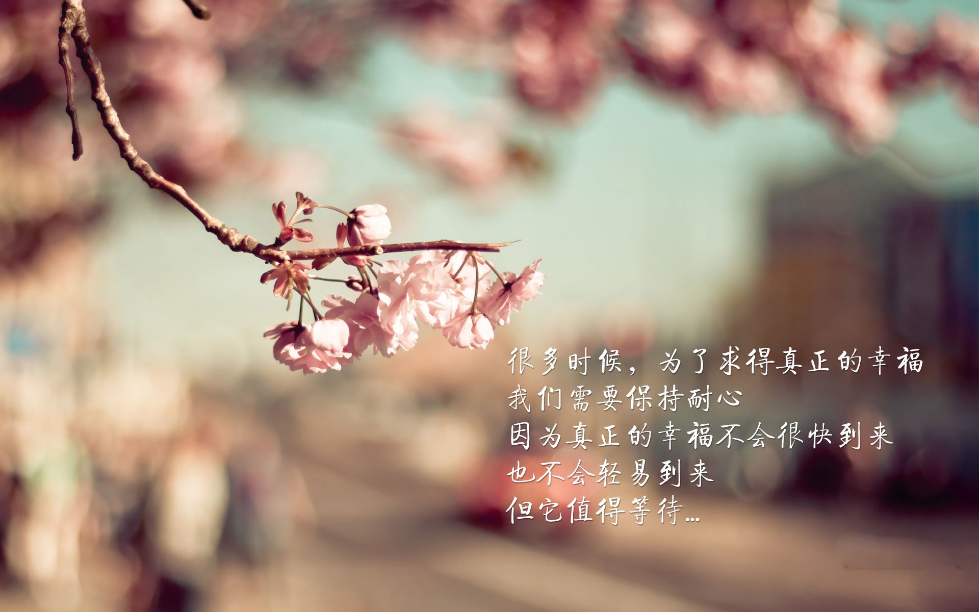 “青少年足球合作联盟推动全国联赛，打造优质青训体系”，青少年足球超级联赛