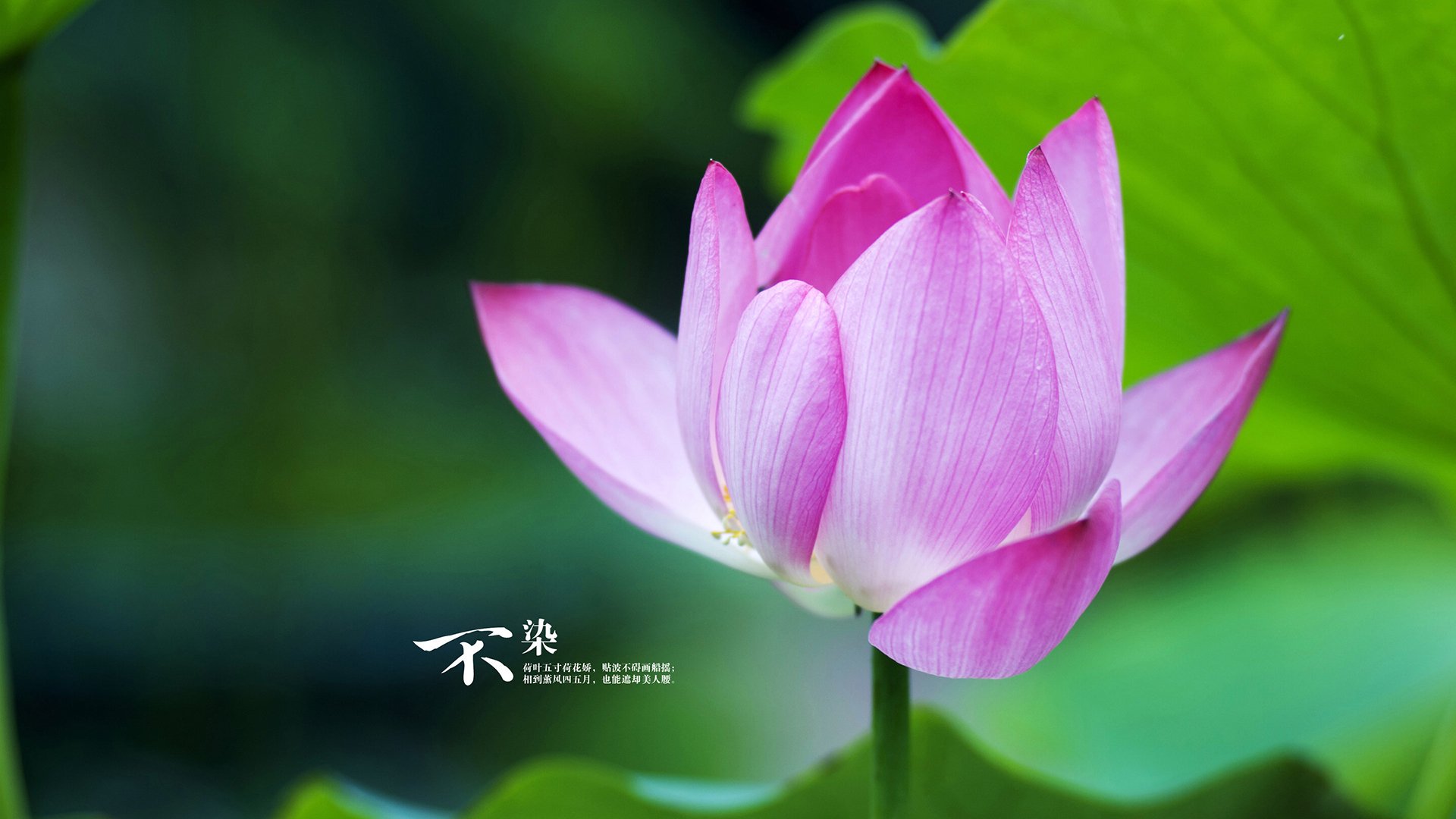 “青少年足球合作联盟推动全国联赛，打造优质青训体系”，青少年足球超级联赛