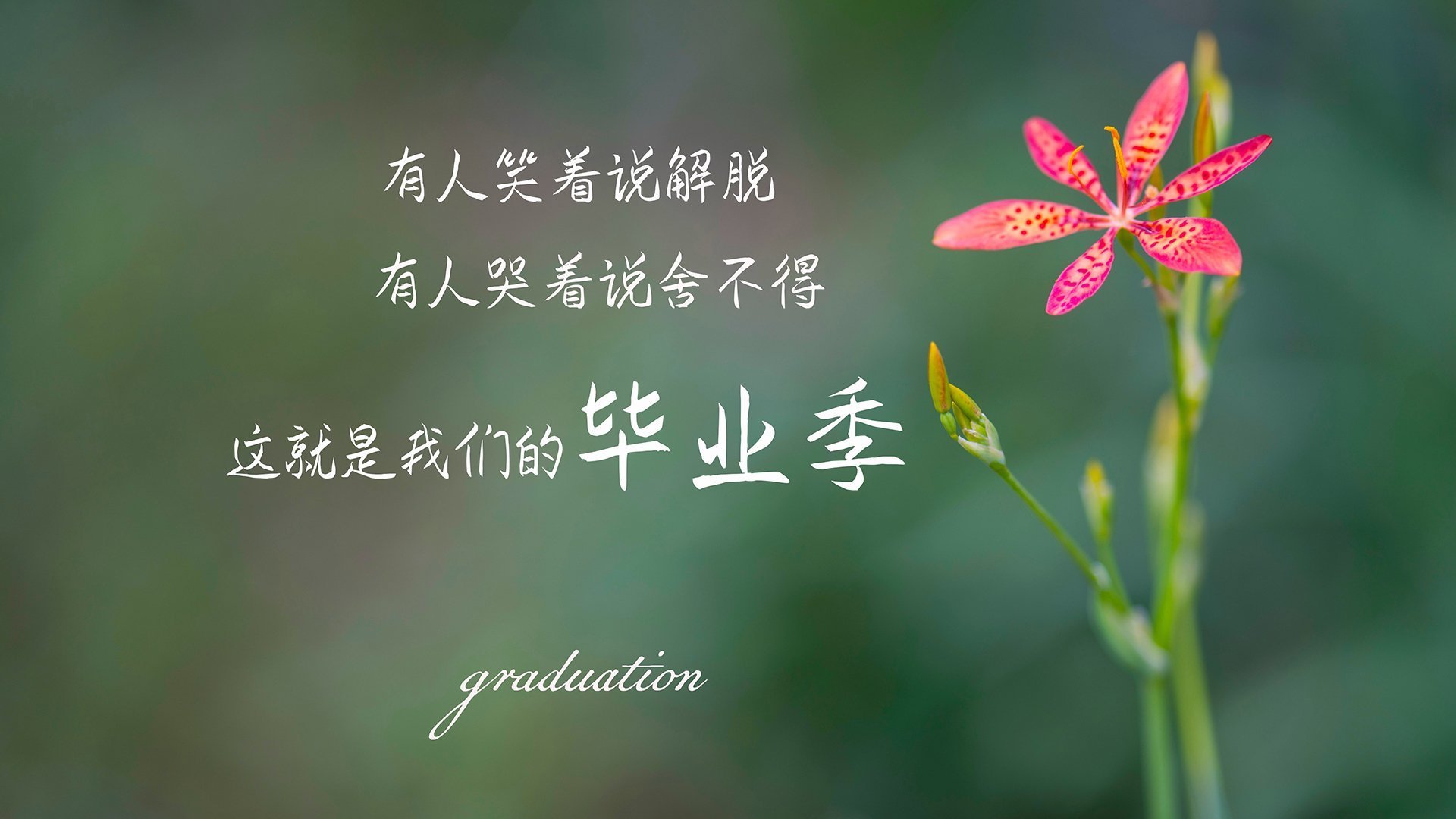 “青训+资本”创新驱动行业快速发展,行业资本投入持续增加,行业资本引入战略