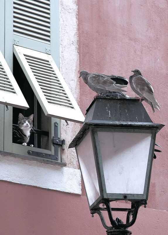 《G2战队完成大换血,签下新实力派选手Jacky》,g2战队怎么样