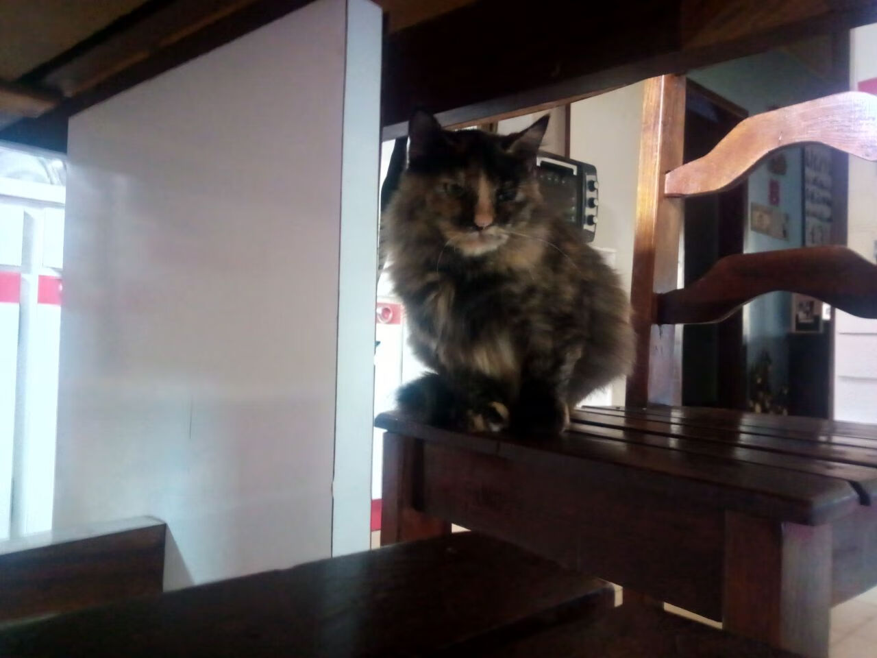 《Valorant北美夏季赛，300英雄战队势不可挡》，valorant北美比赛