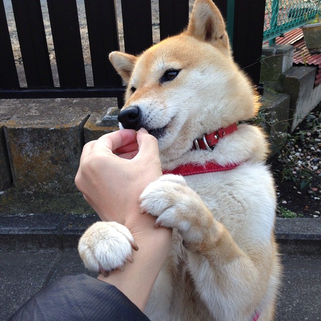 《青年电竞明星:未来之星大放异彩》,电竞年轻人