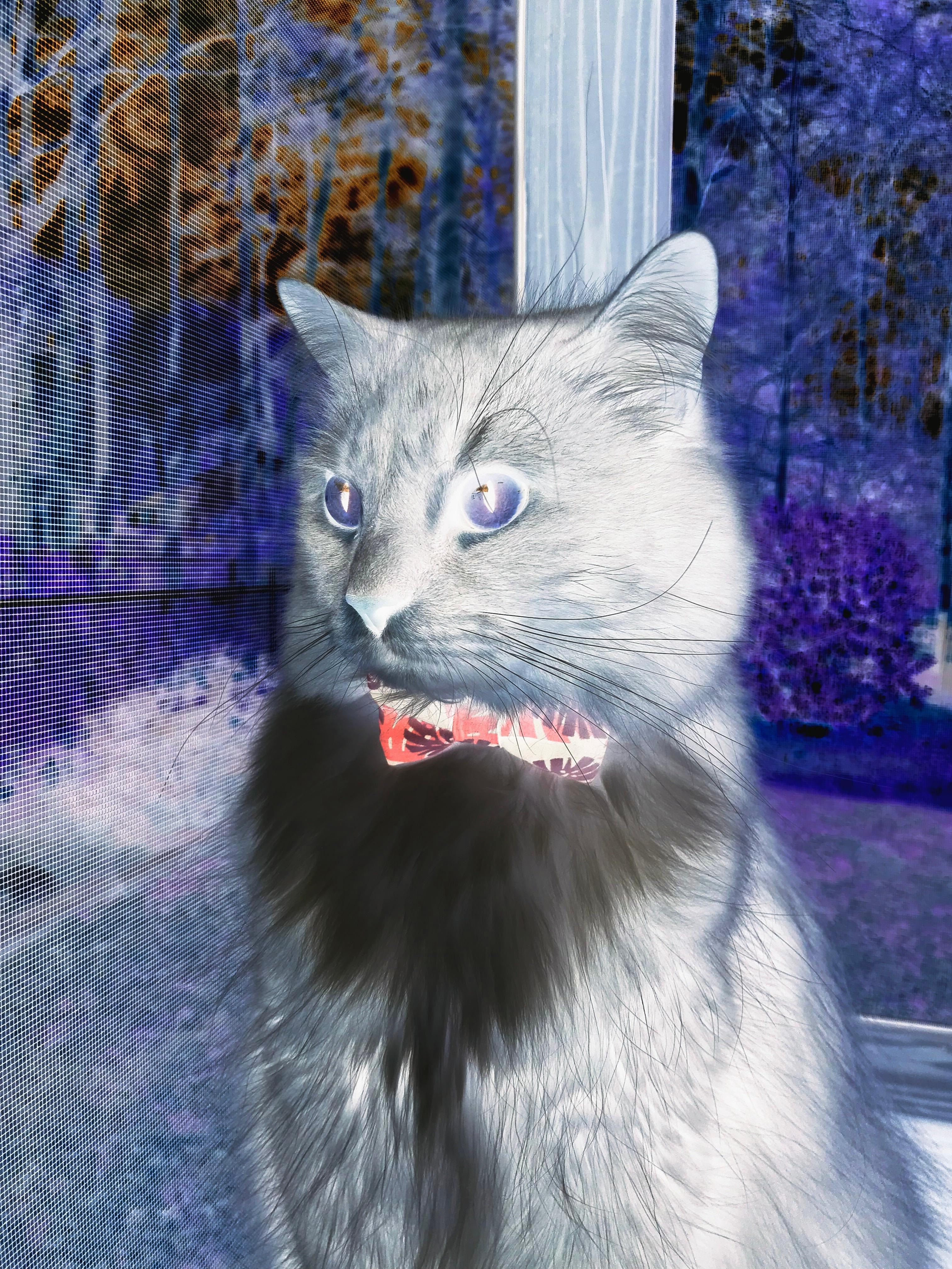 【训练实录】奥沙利文:如何用科学训练提升比赛状态,奥沙利文技术动作