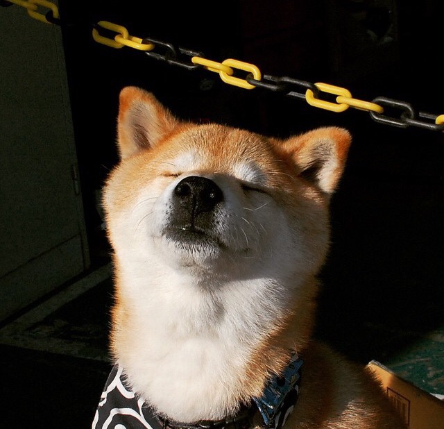 三分雨:北京队三分球投中40%以上,火力全开!,cba三分雨