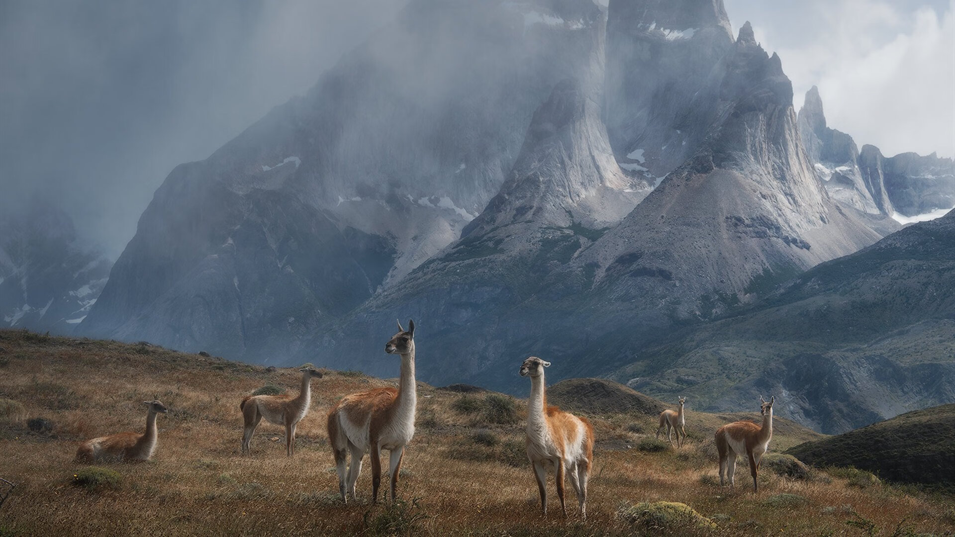 九游官网pc-全国乡村田径运动会，激励农村青少年的梦想，乡村体育运动