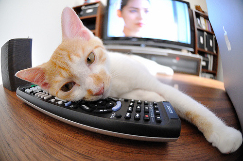 九游网页版官网入口-北京、上海、广州等城市篮球热潮不断升温，联盟布局全球未来！