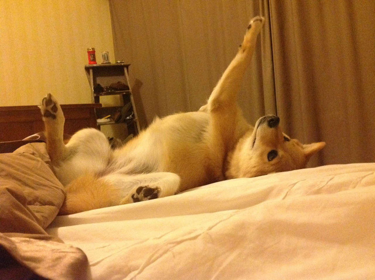 九游下载官网-历史题材体育表演，文化时空中的运动魅力，历史体育轶闻趣事