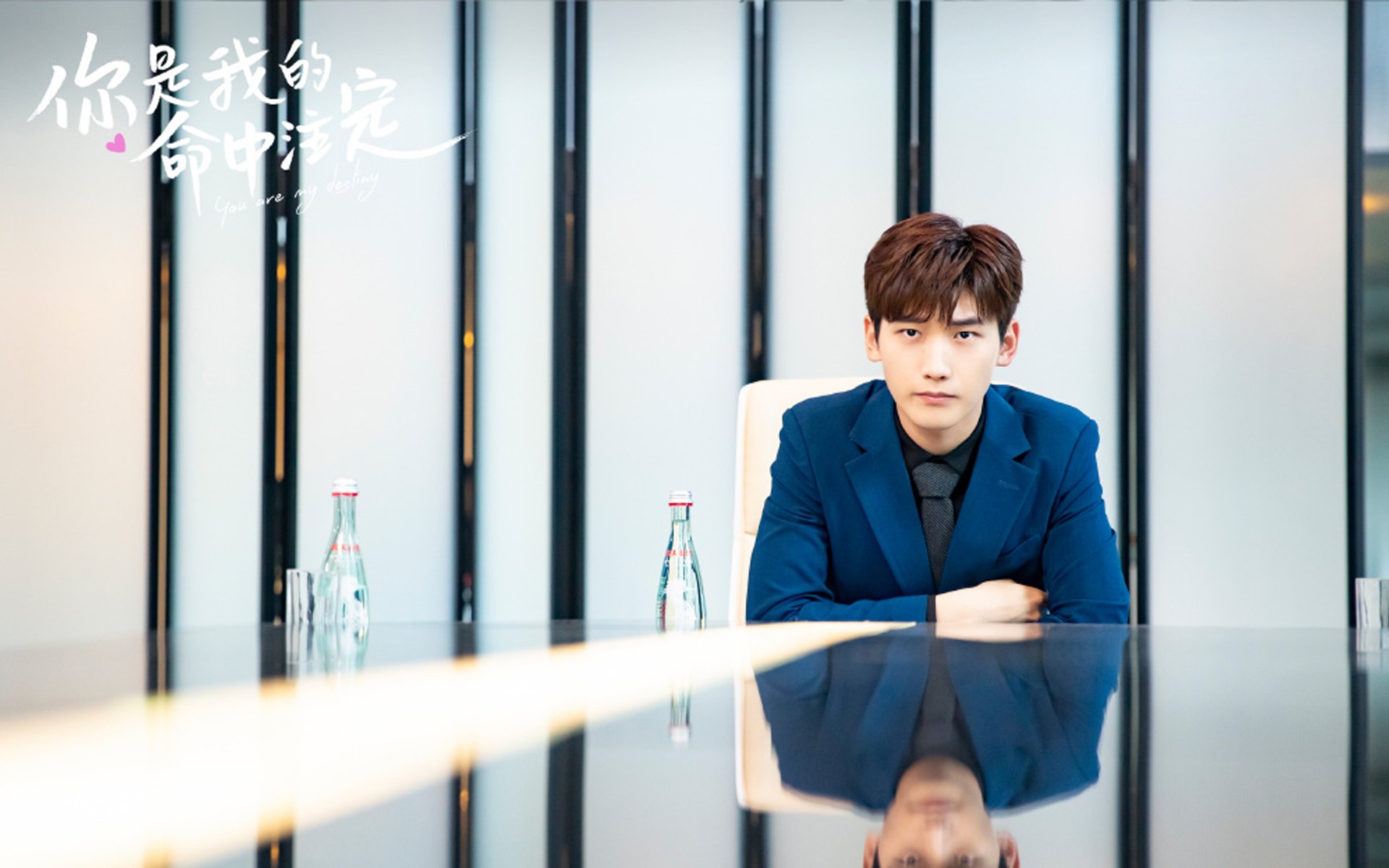 九游登录入口-哥伦比亚马术协会开展马匹福利宣传活动，提升公众意识。，哥伦比亚马戏团电影完整版在线观看